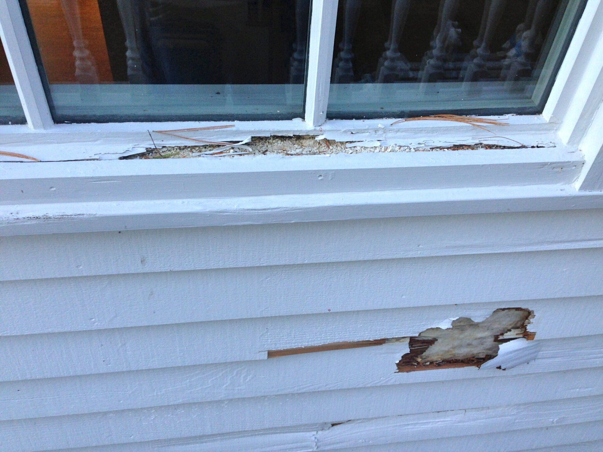 Damaged white house siding below a window with peeling paint and a hole in the wall