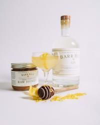 Bottle of gin, cocktail, honey jar, honey dipper, and lemon garnish on white.