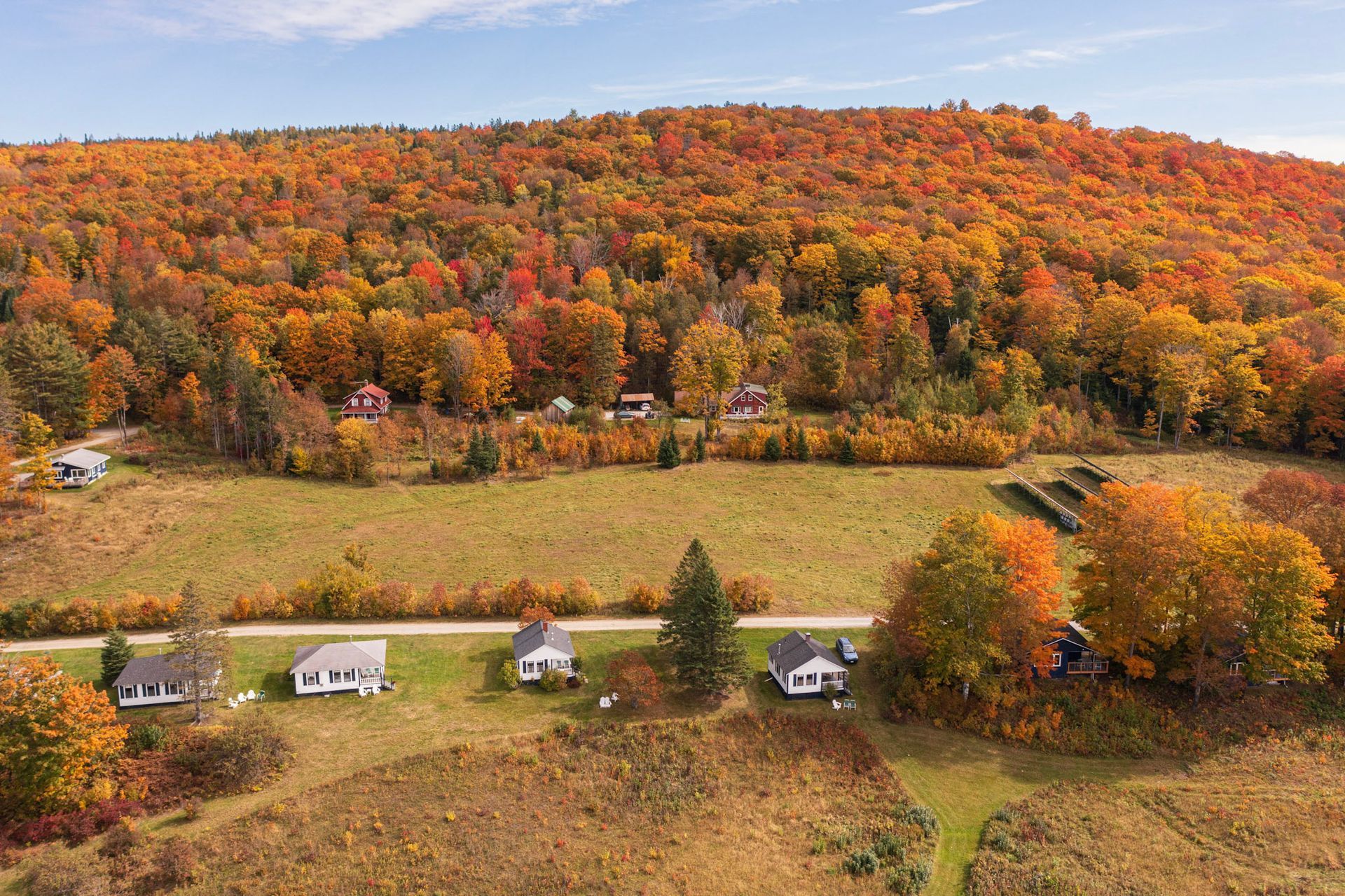 Row of houses in field with autumn foliage on a hillside in the background.
