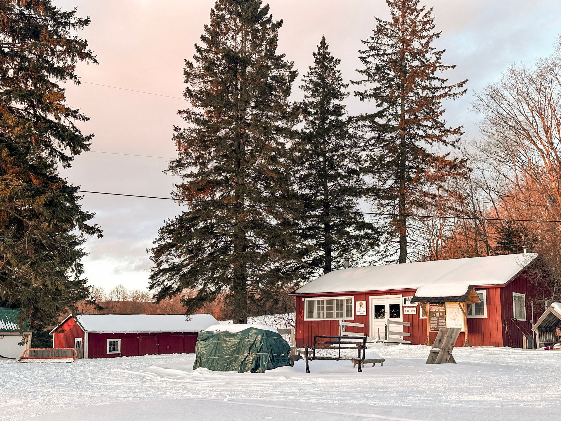 Red cabin and outbuildings covered in snow, tall trees, and a flock of birds in a winter landscape.