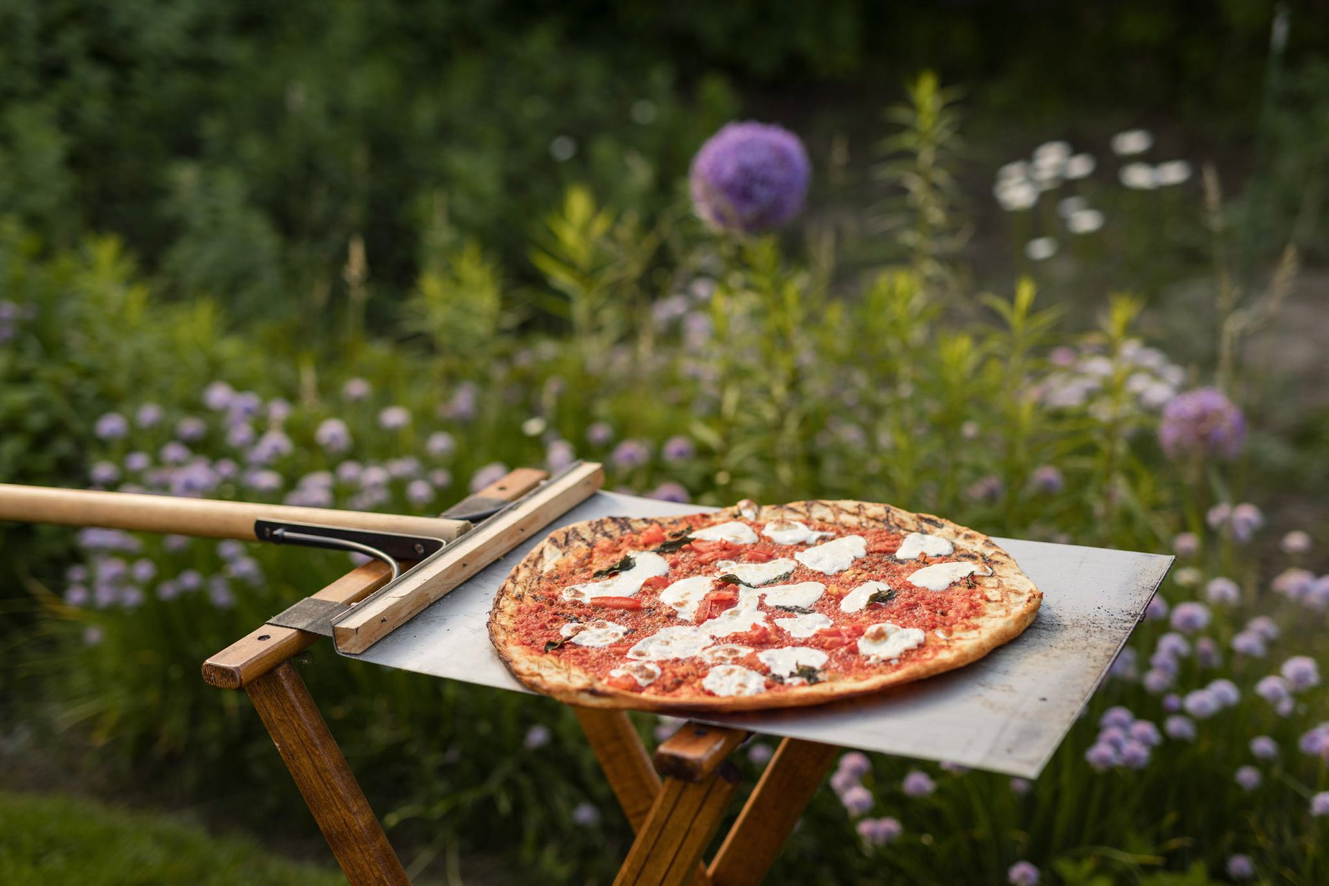 Pizza on a metal peel, outdoor setting. Rake and blooming purple allium flowers in background.