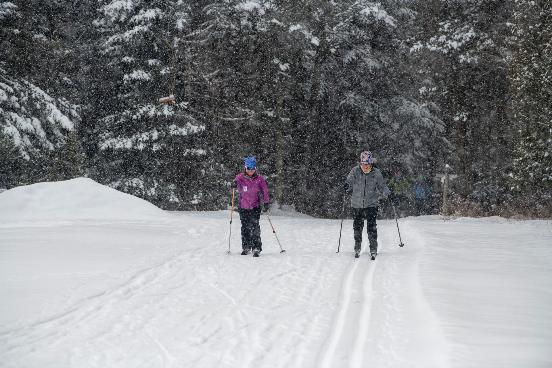 Two people cross-country ski on a snow-covered trail in a forest during a snowfall.