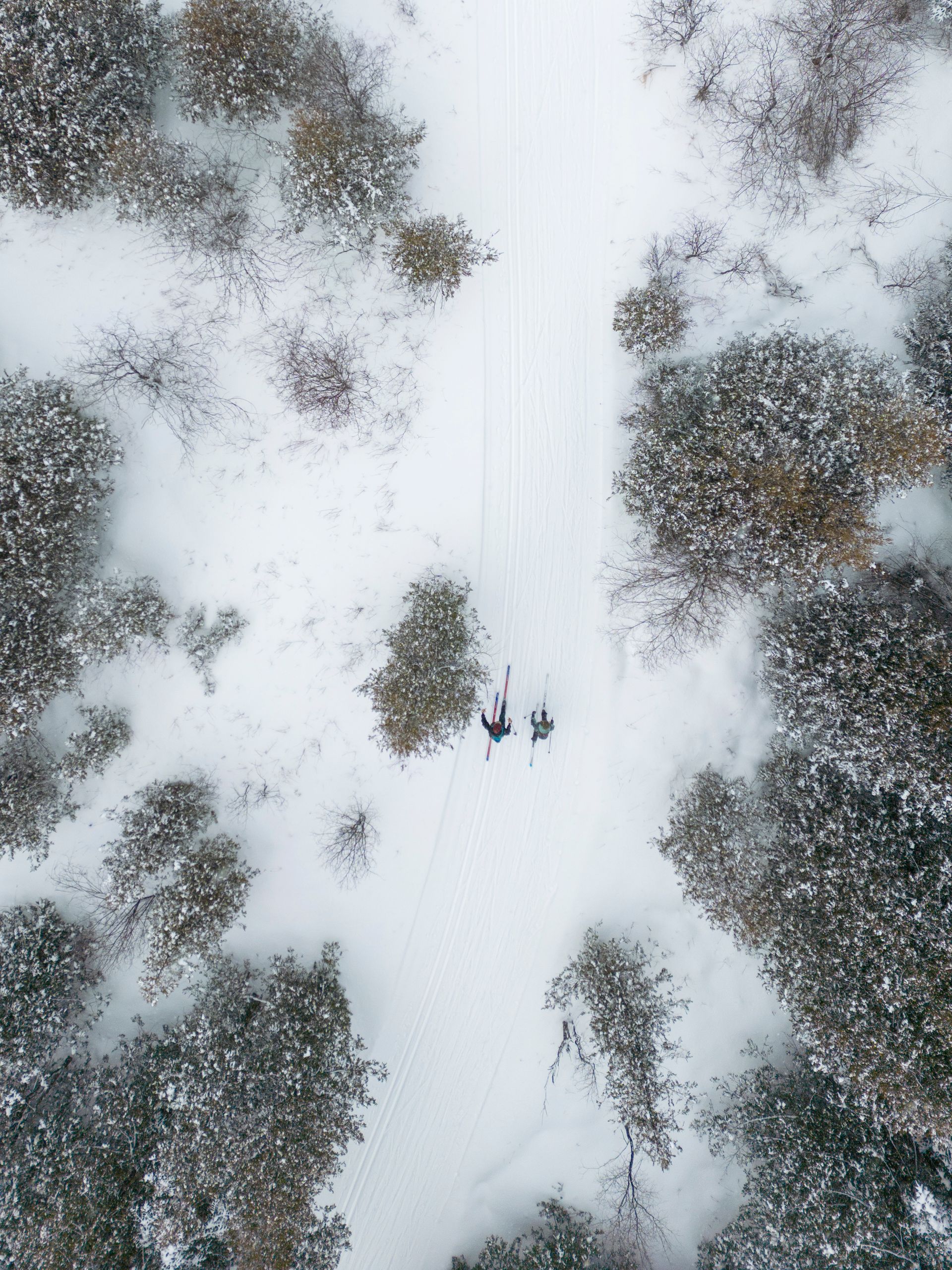 Aerial view of a snowy forest with a path and three figures walking along it.