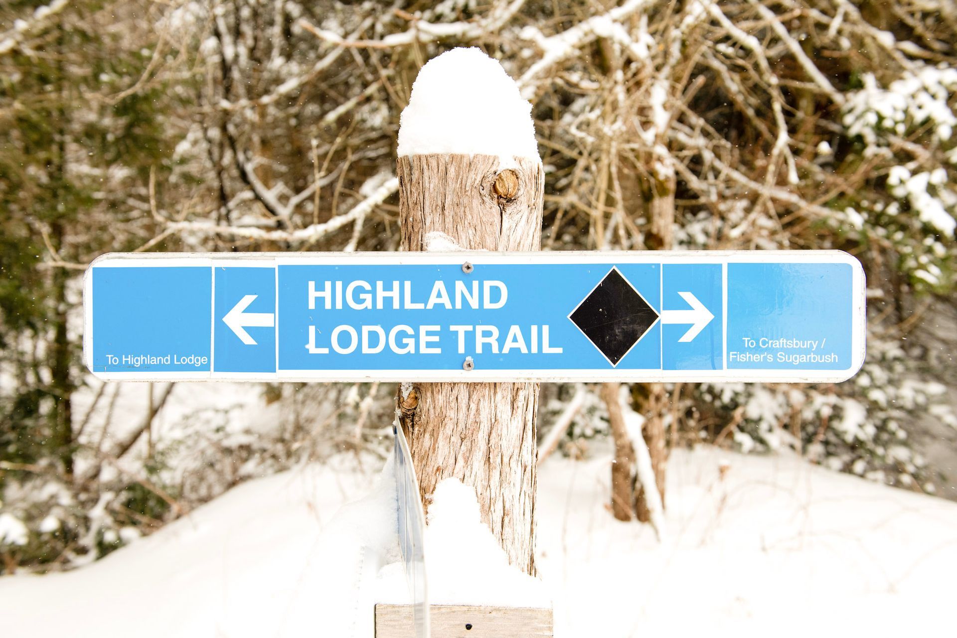 Trail sign for Highland Lodge Trail in snow-covered woods; blue sign with arrows, black diamond, and white lettering.