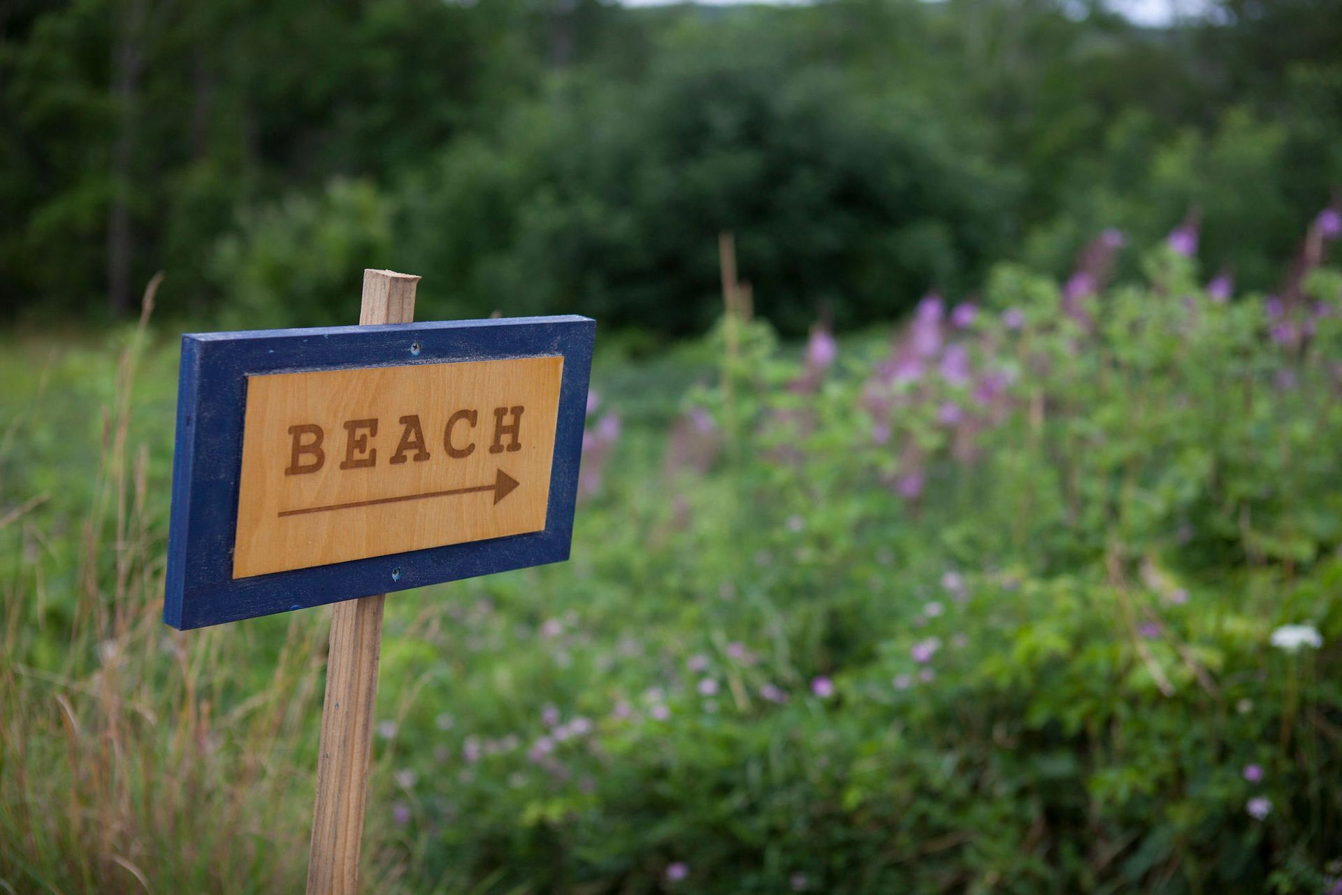 Beach sign with wooden text and arrow, in a field of green and purple plants.