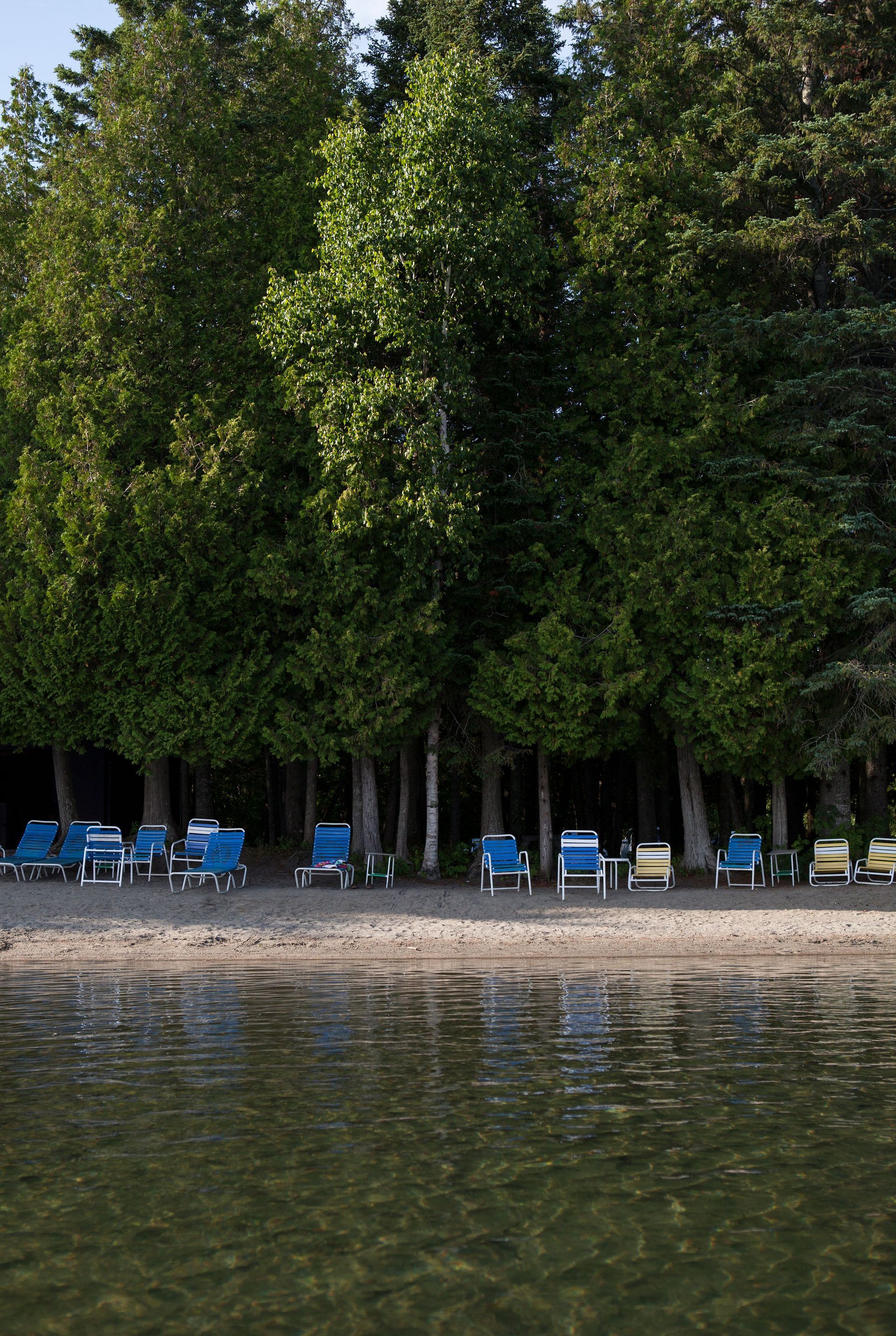 Beach with rows of blue and yellow lounge chairs under tall green trees; calm water in foreground.