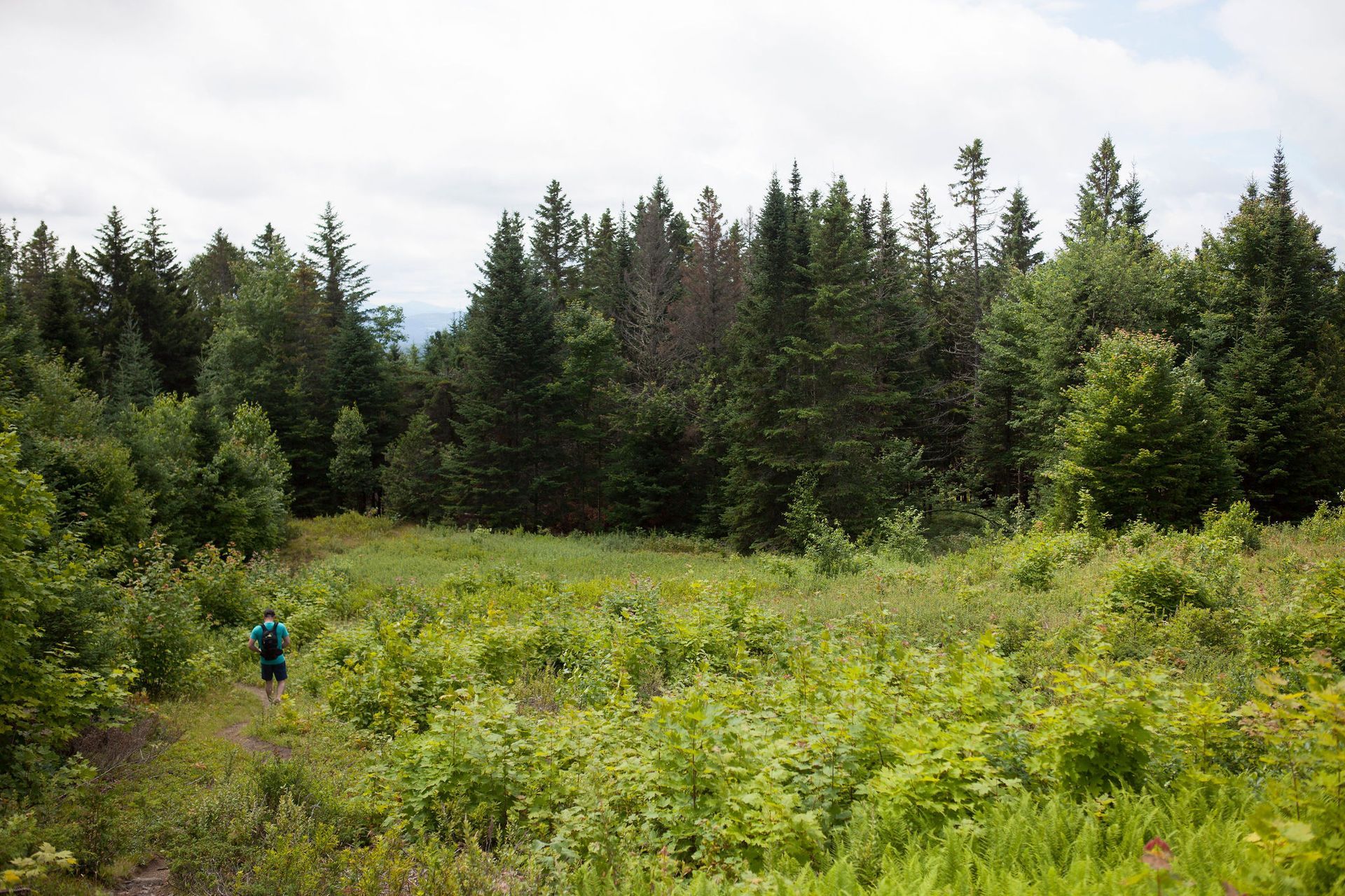 Person hikes through a green field with trees in the background under a cloudy sky.