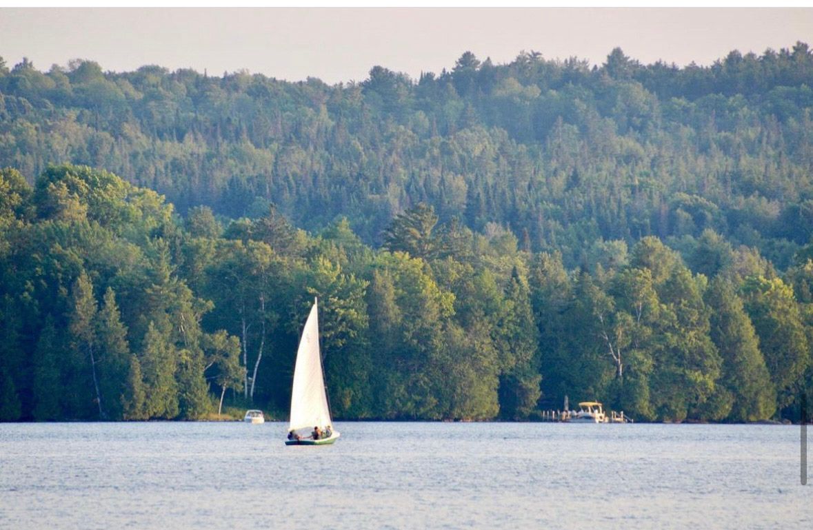 Sailboat on a lake with a dense forest background.