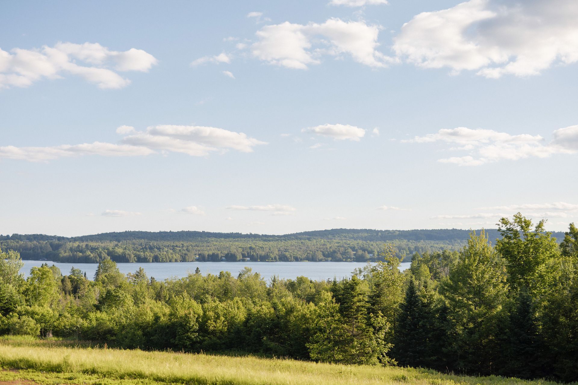 Lush green trees and a field in the foreground, with a lake and forest under a blue sky with clouds.