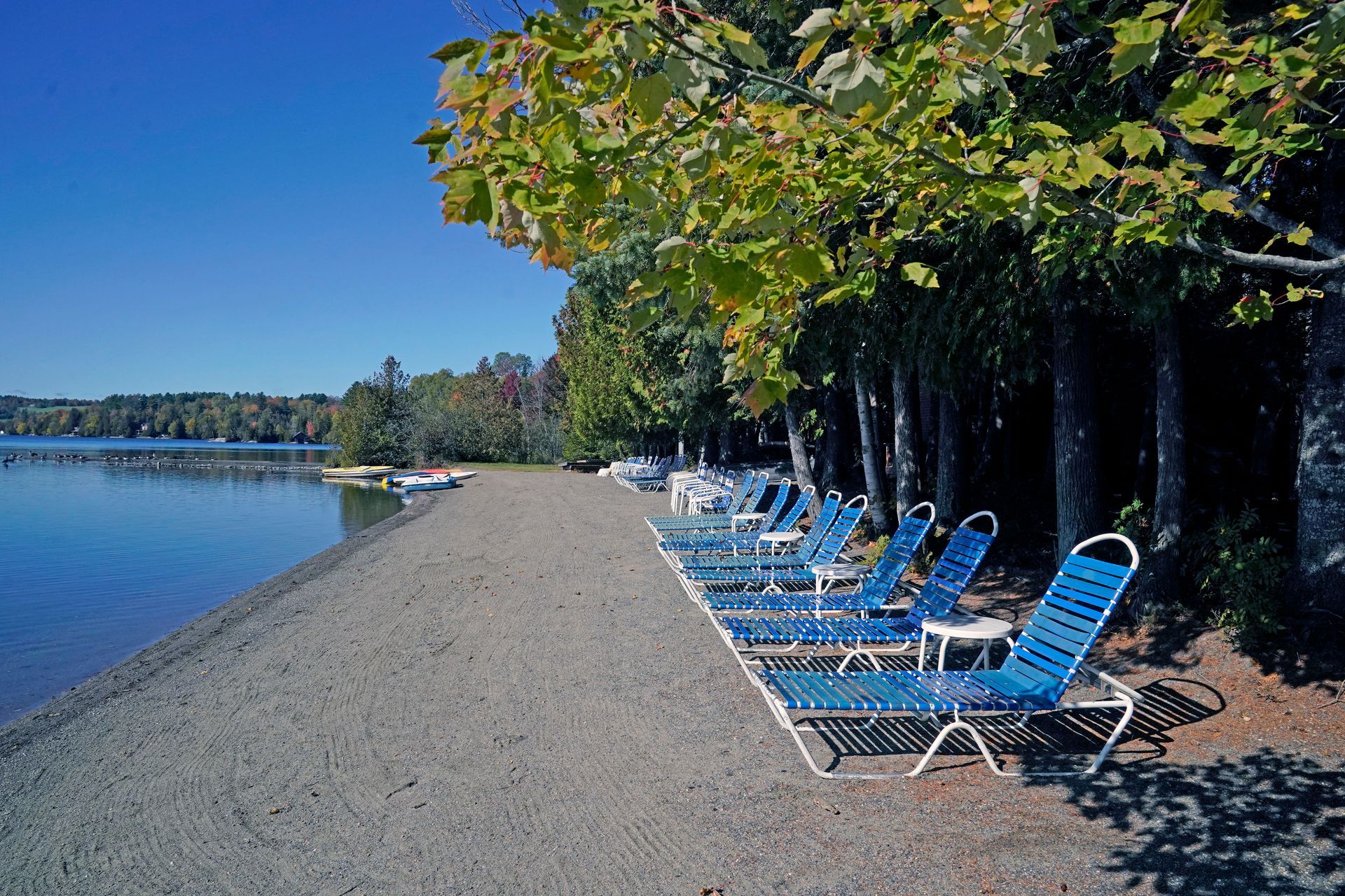 Lakeside scene: Blue lounge chairs line a gravel beach under trees. Calm water, sunny sky, boats in the distance.