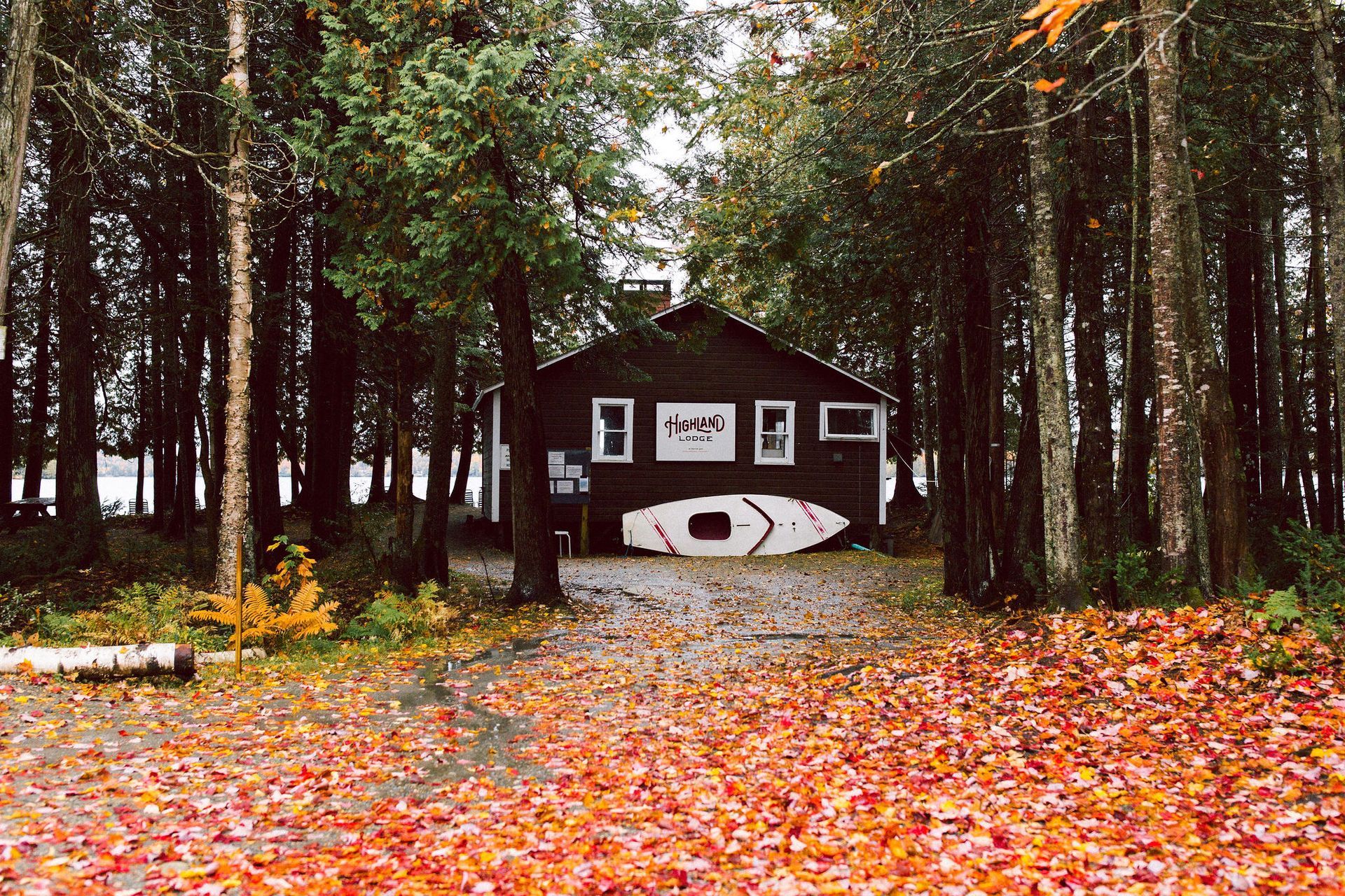 Cabin in a forest, kayak art on the front. Path covered in autumn leaves leads to building.