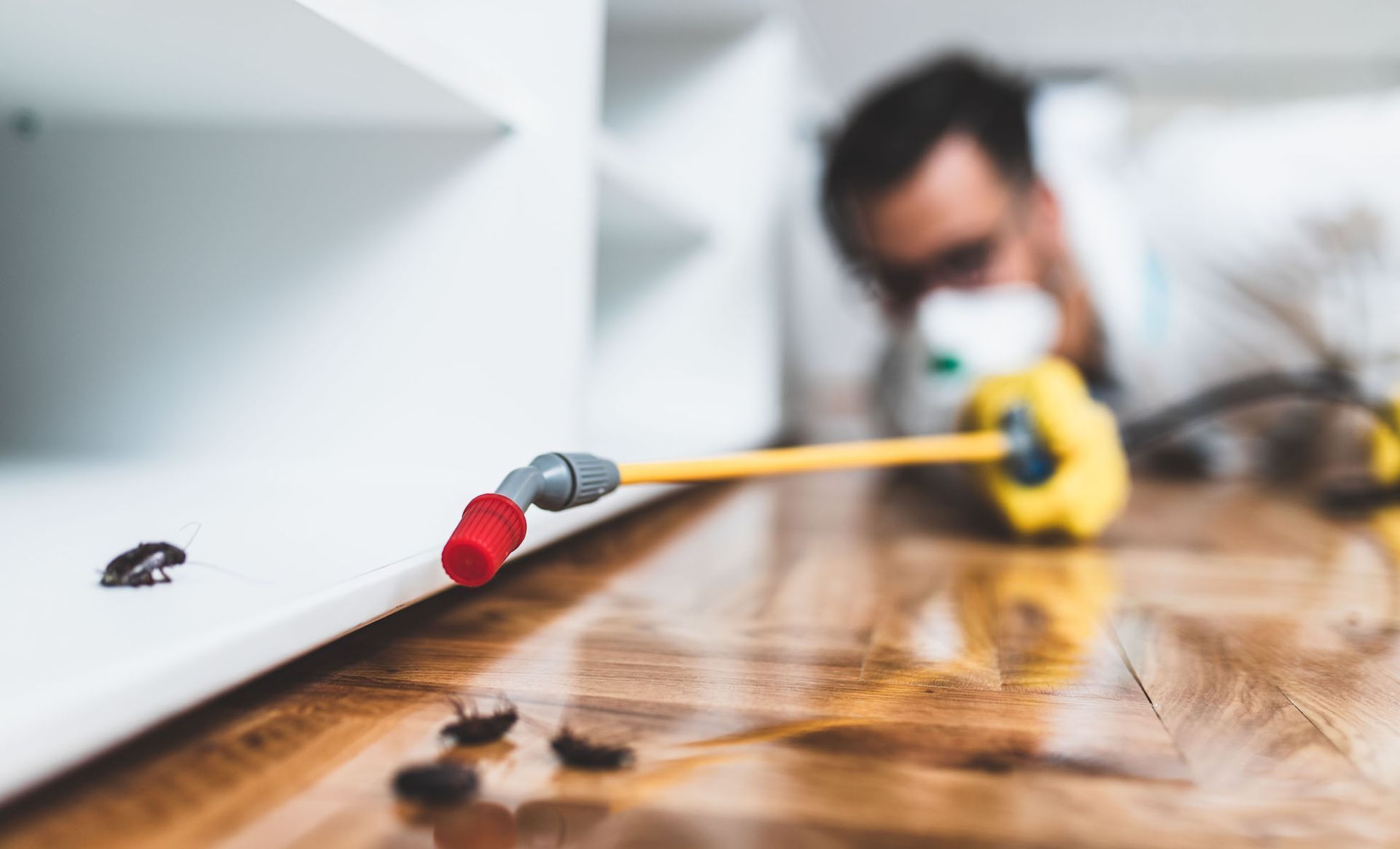 Pest Control Services