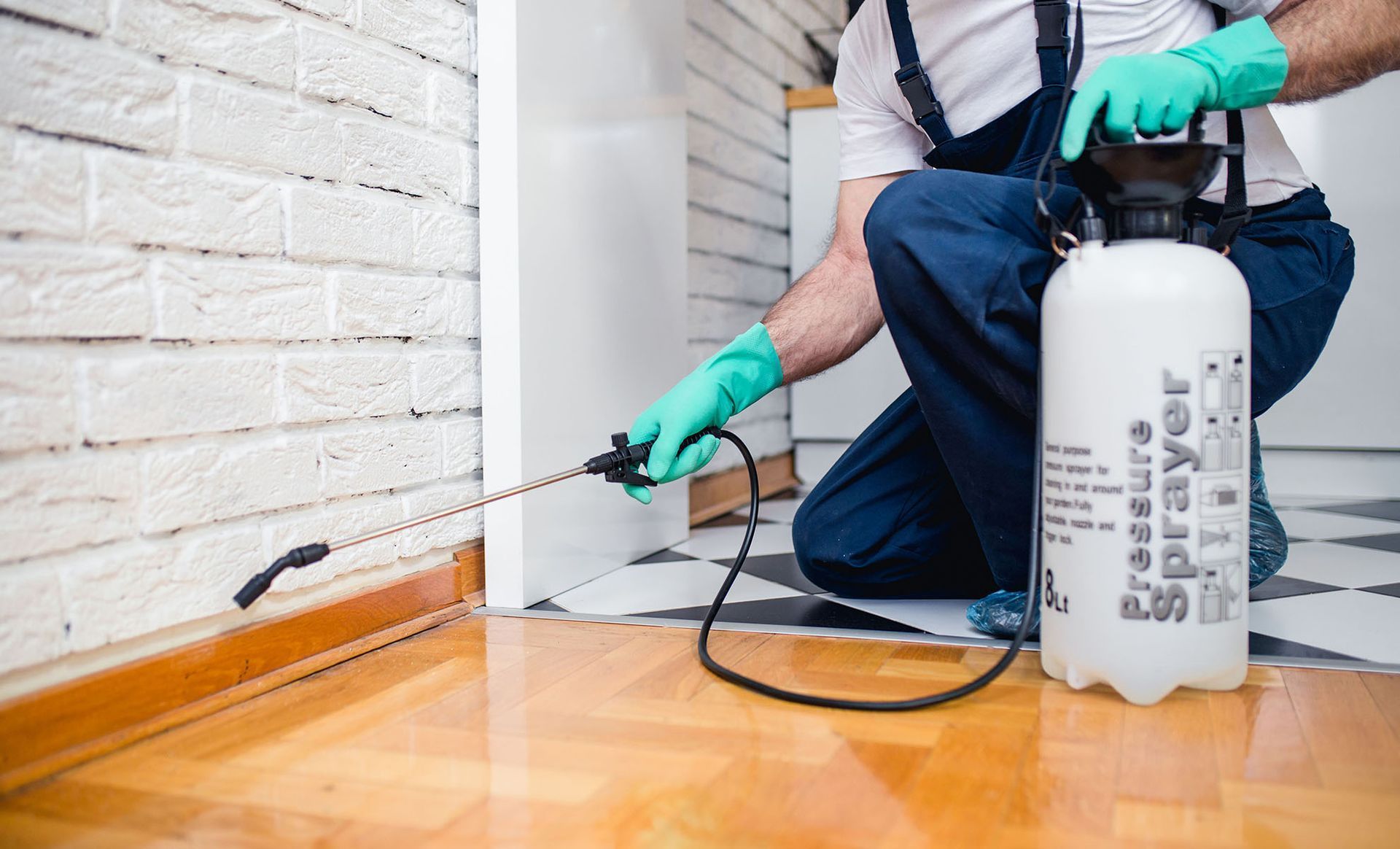 Termite Control 

