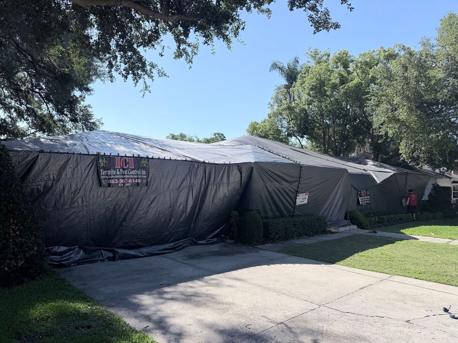 pest control services 15