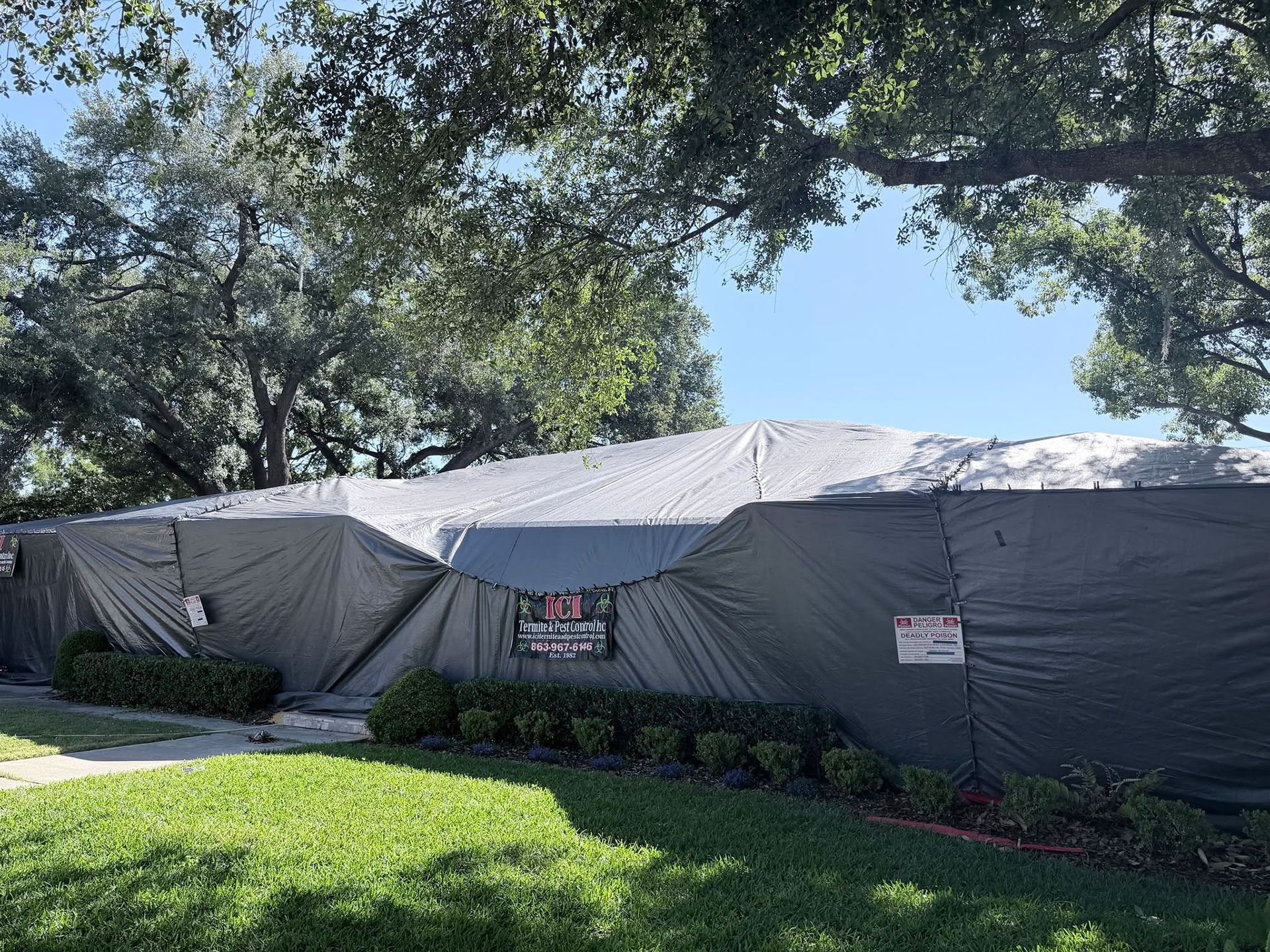 pest control services 16