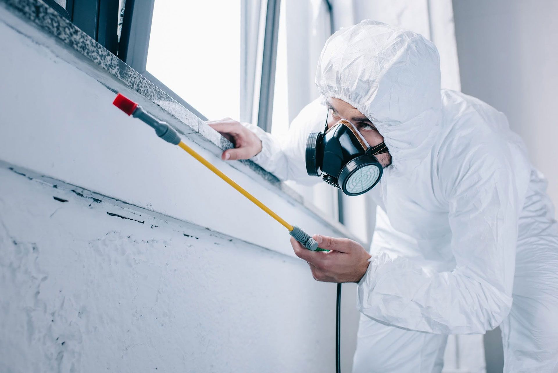 pest control services 21