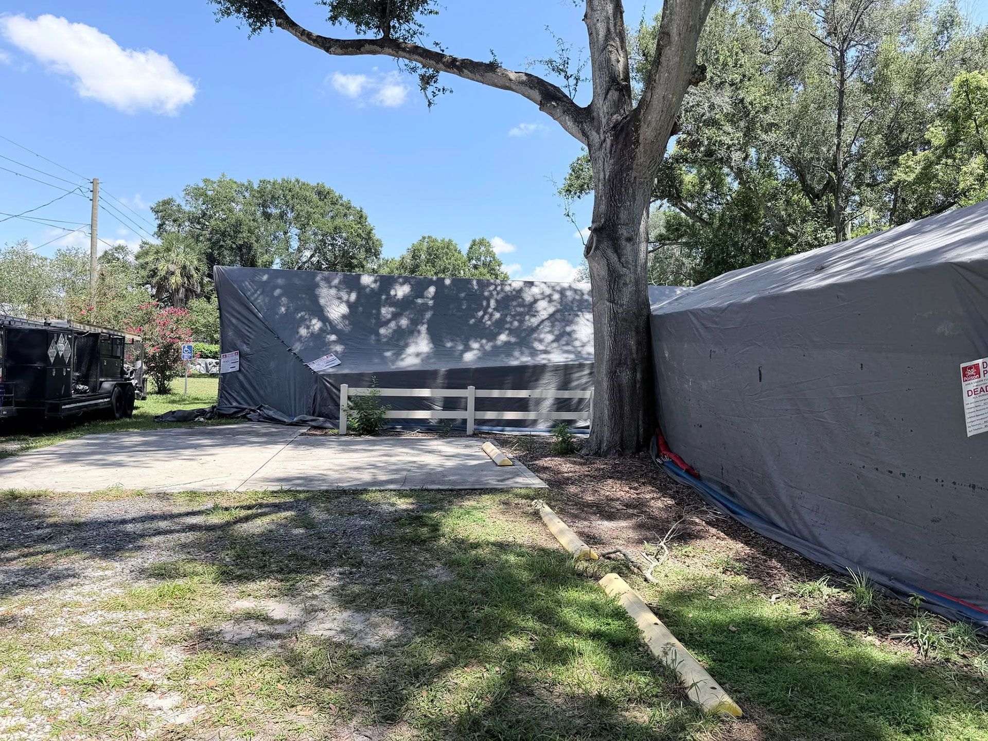 pest control services 5
