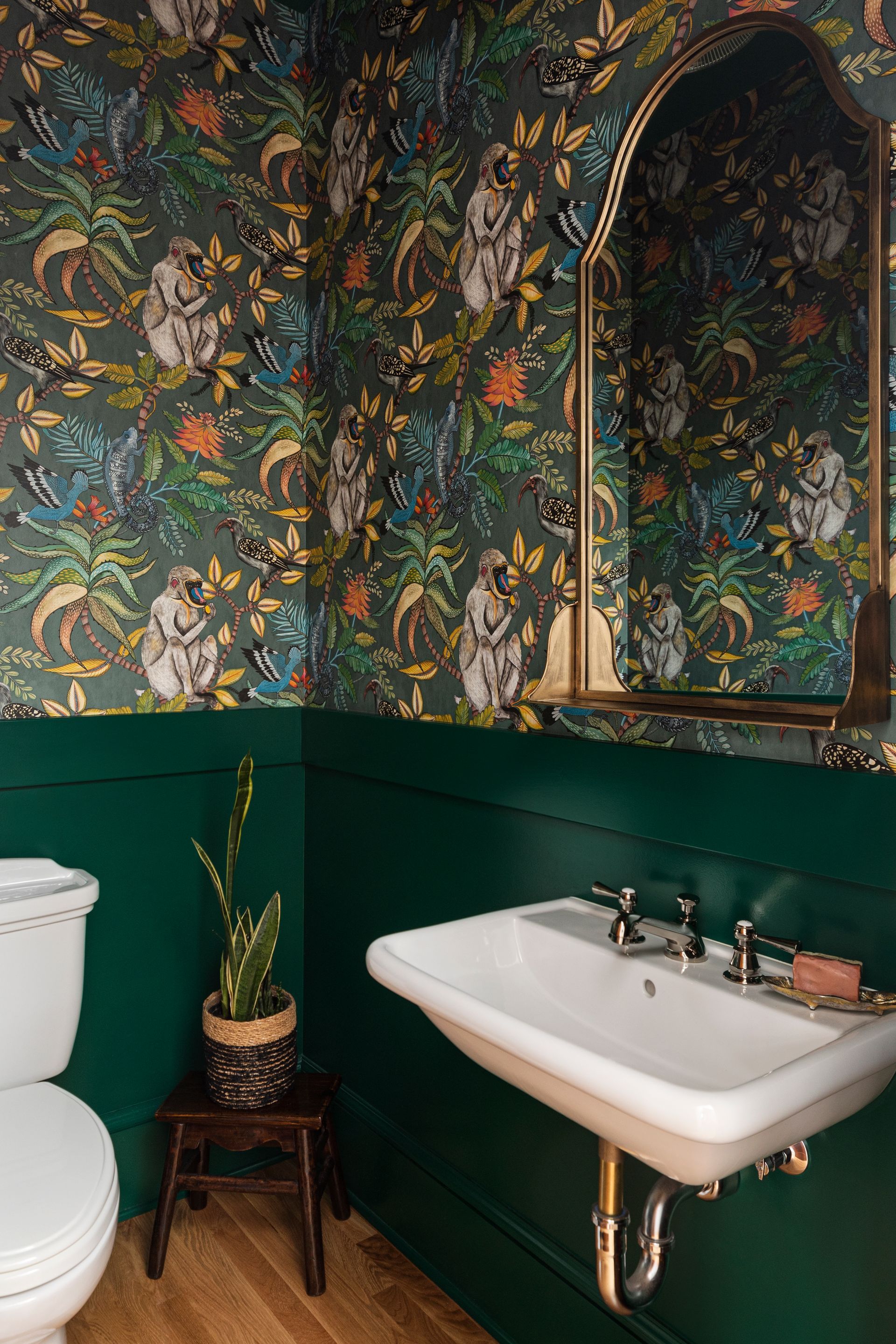 A WC with a wall mounted sink, emerald-green wainscoting, and jungle themed wallpaper.