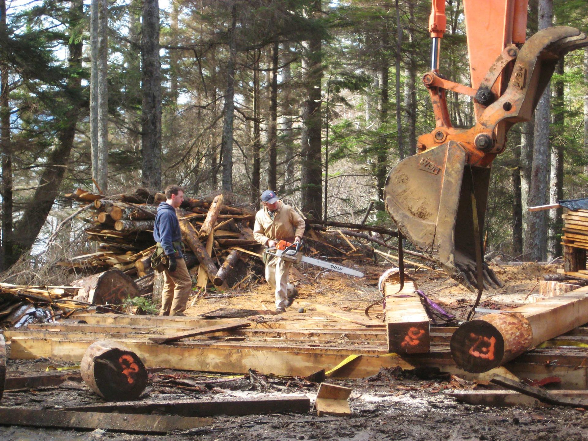 A man with a chainsaw is standing next to a pile of logs
