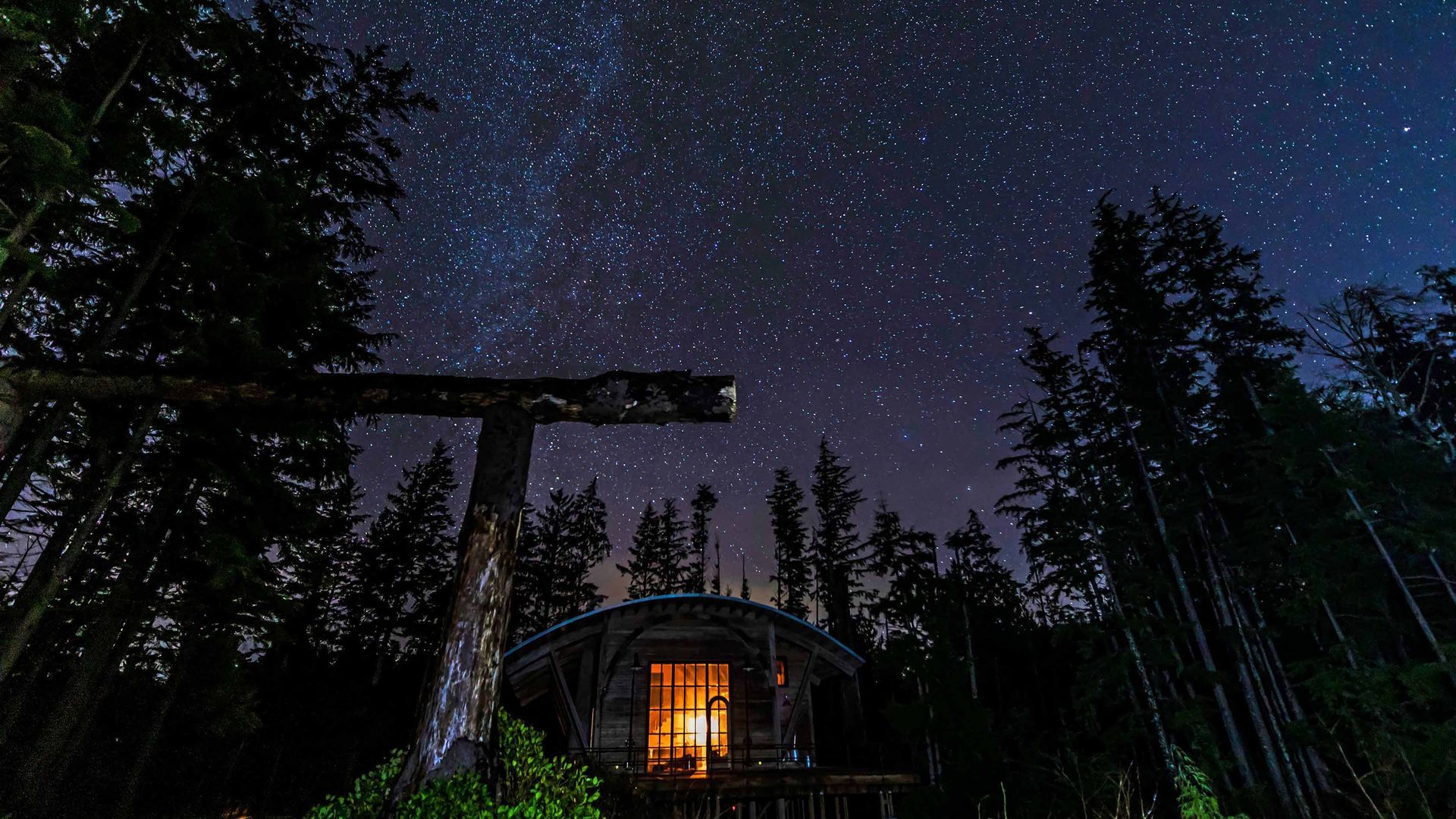 A cabin in the middle of a forest at night under a starry sky.