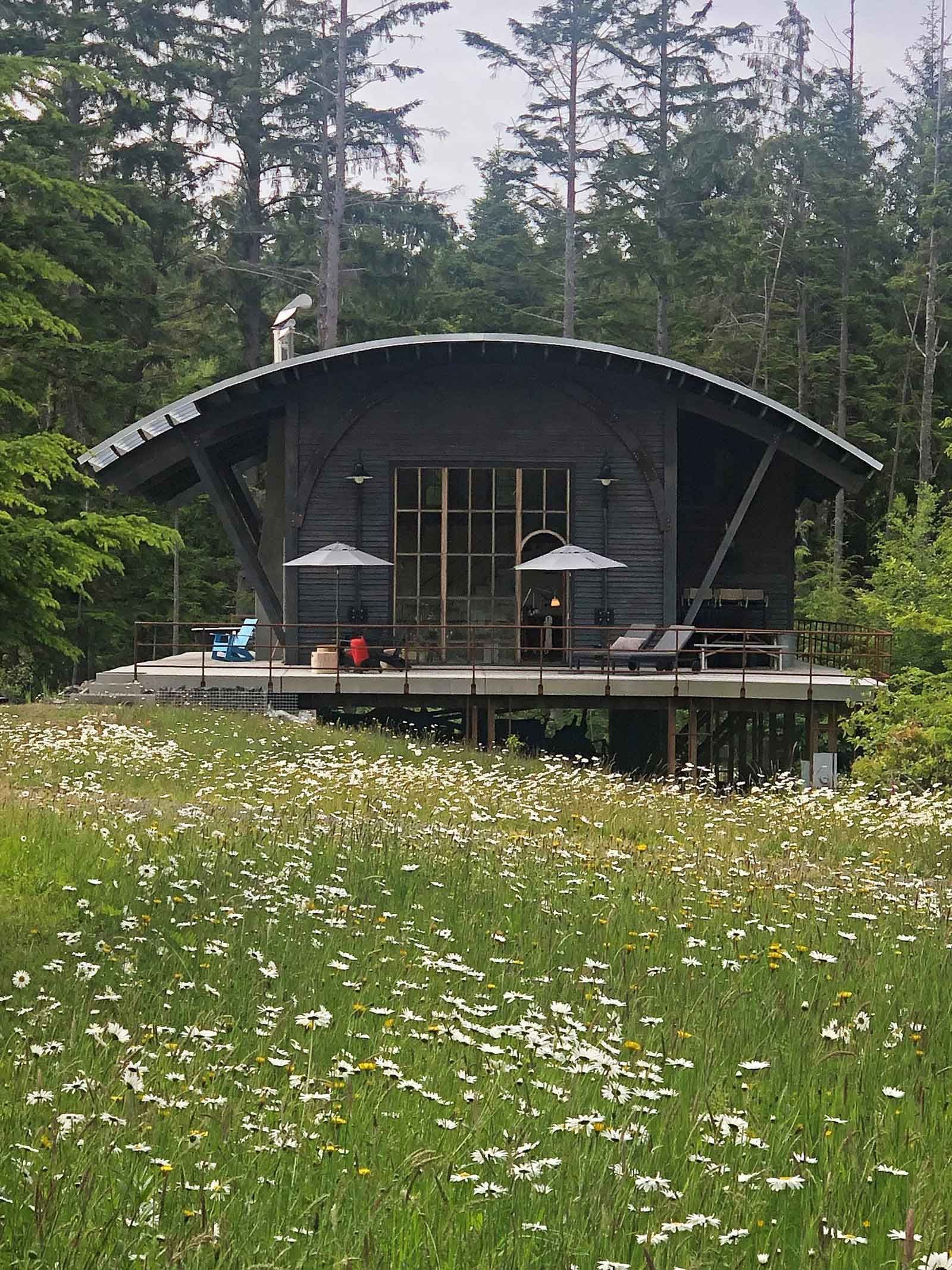 A small house is sitting in the middle of a field of daisies.