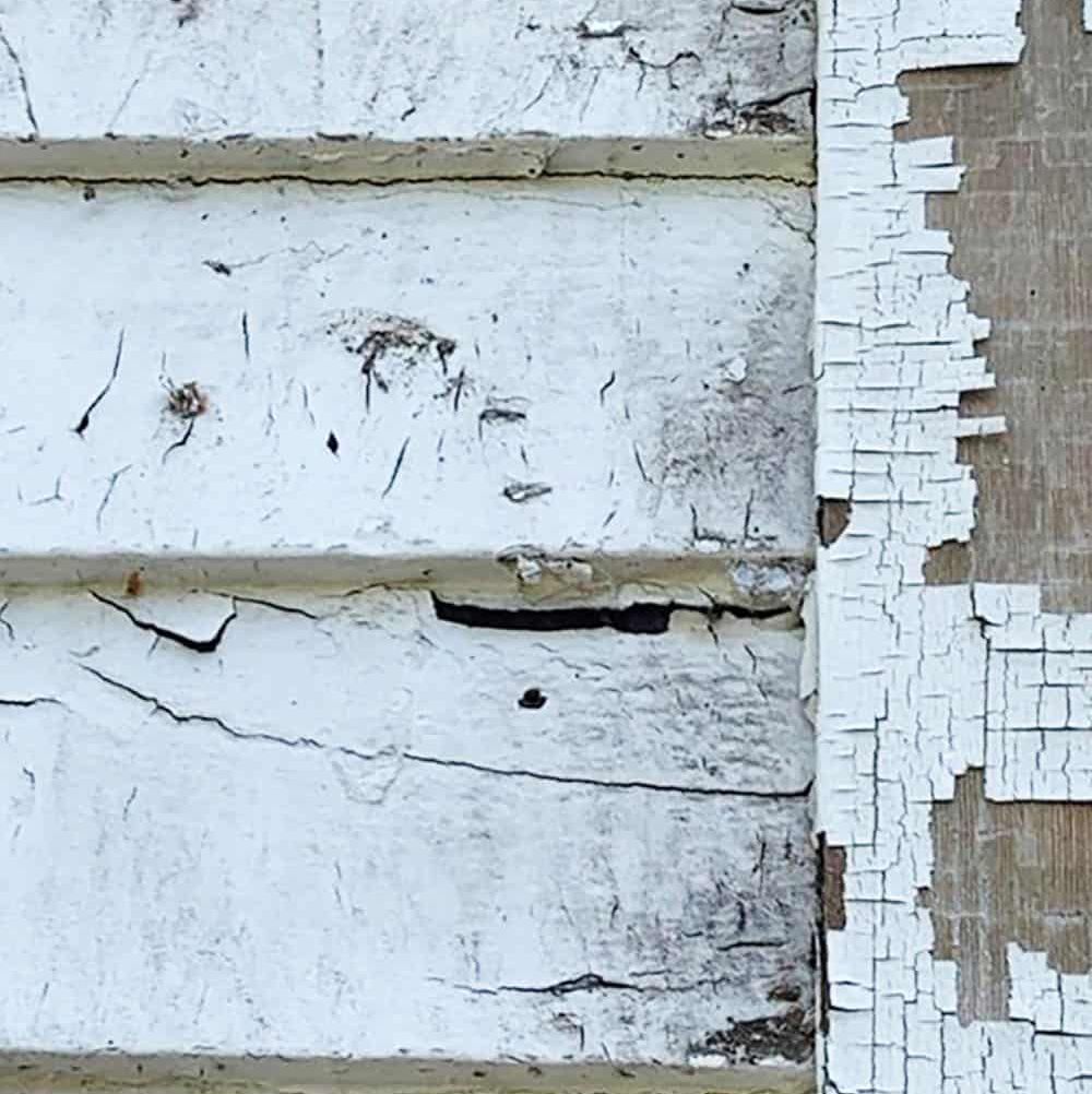 Cracked, peeling white paint on original 1910 weathered wood siding.