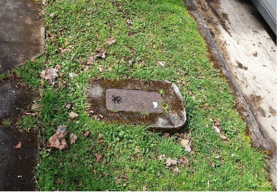 Image of water meter cover in grass