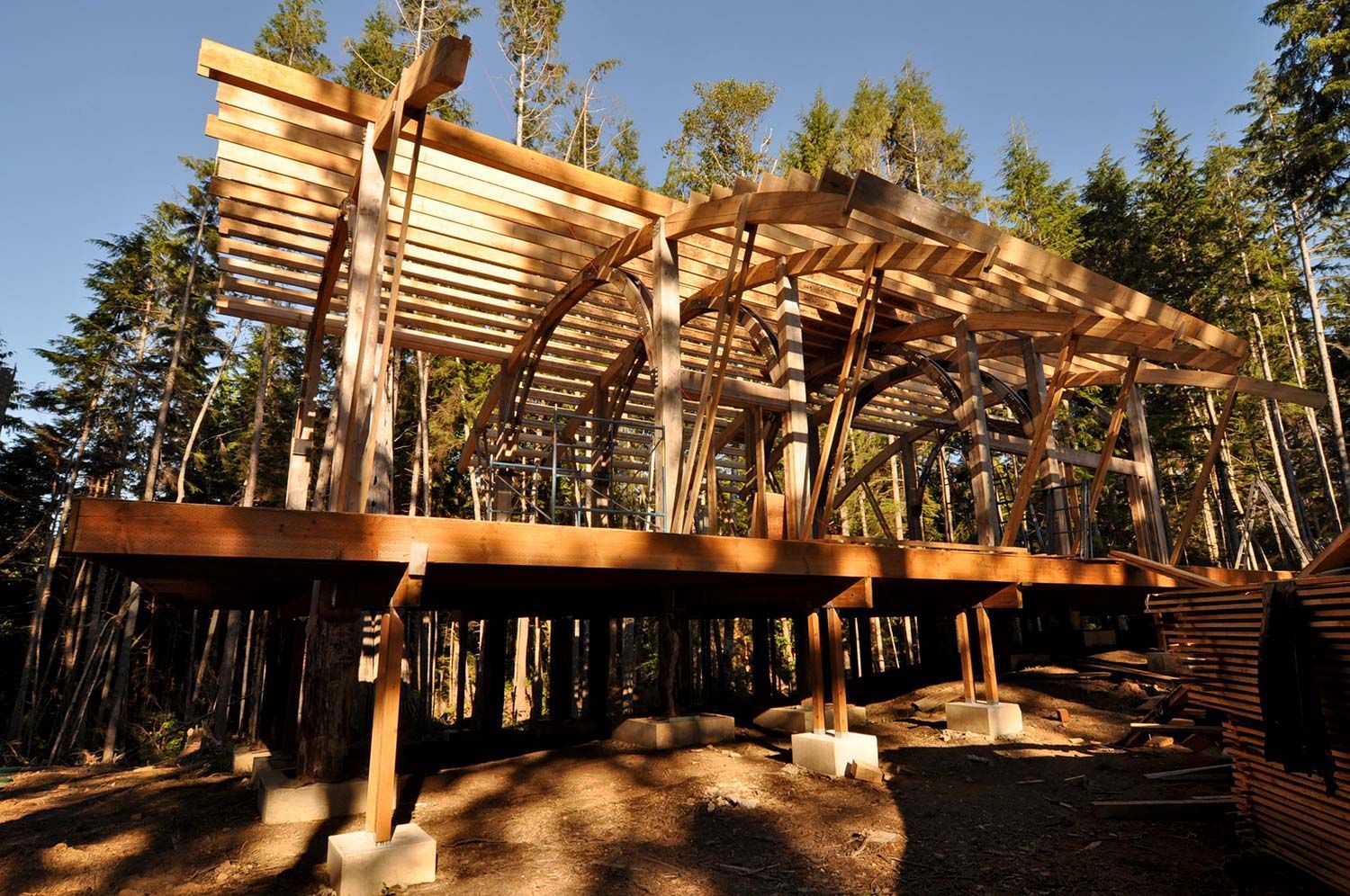 A wooden structure is being built in the middle of a forest