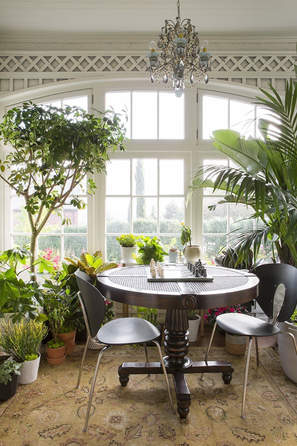 A dining room with a table and chairs and lots of potted plants.