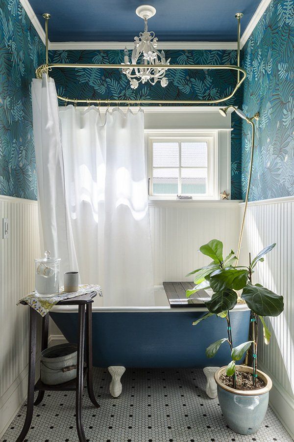 A bathroom with a tub , shower curtain , table and potted plant.