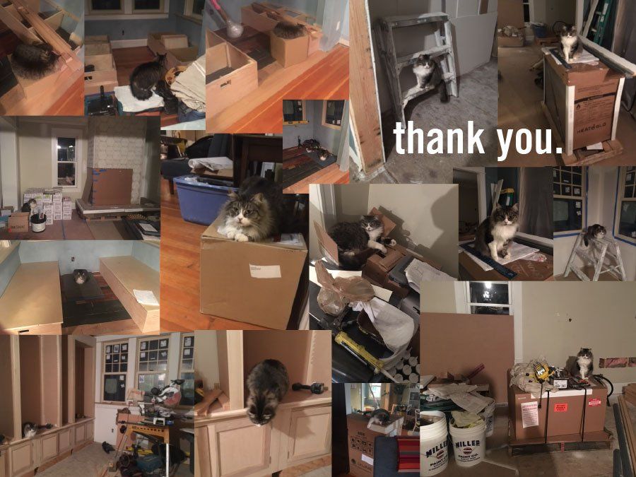 Bijou liked to perch on the crew’s materials at the end of each day. Kerri loved it so much, she created a photo collage of Bijou’s new habit for ARCIFORM!