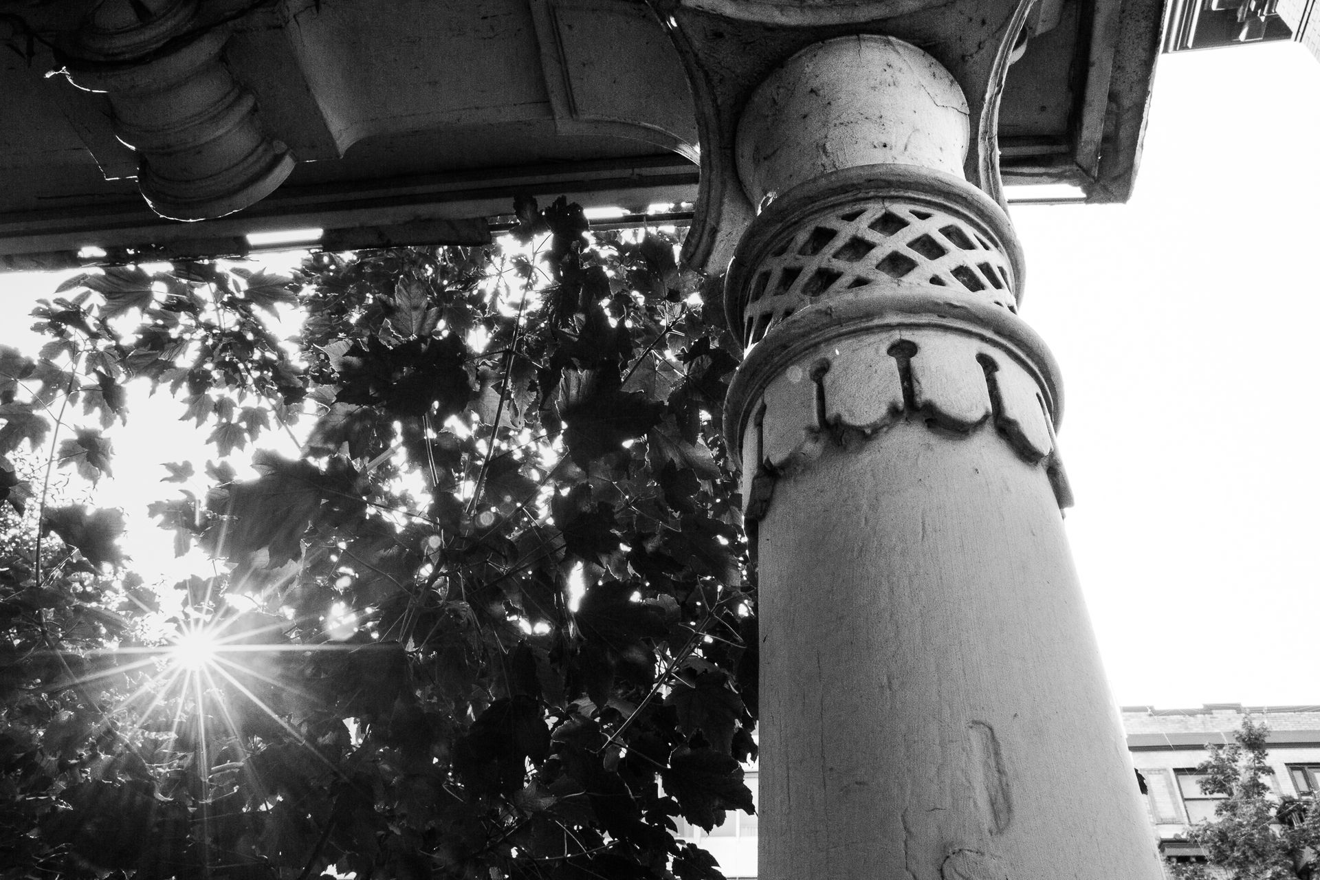 Black-and-white view of a sunlit pillar and tree canopy with sun flare overhead