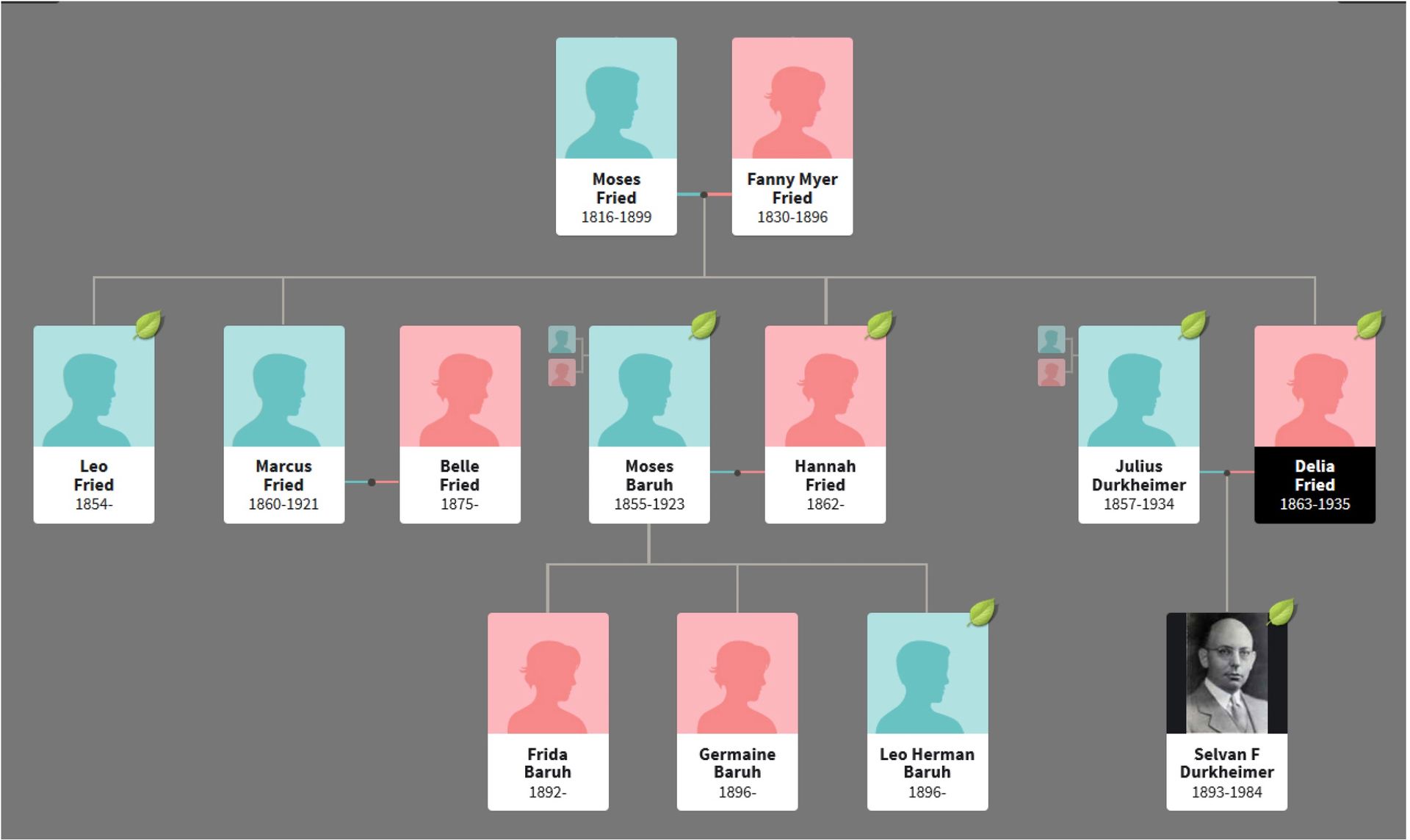 Color-coded family tree chart with profile boxes connected by lines on a gray background
