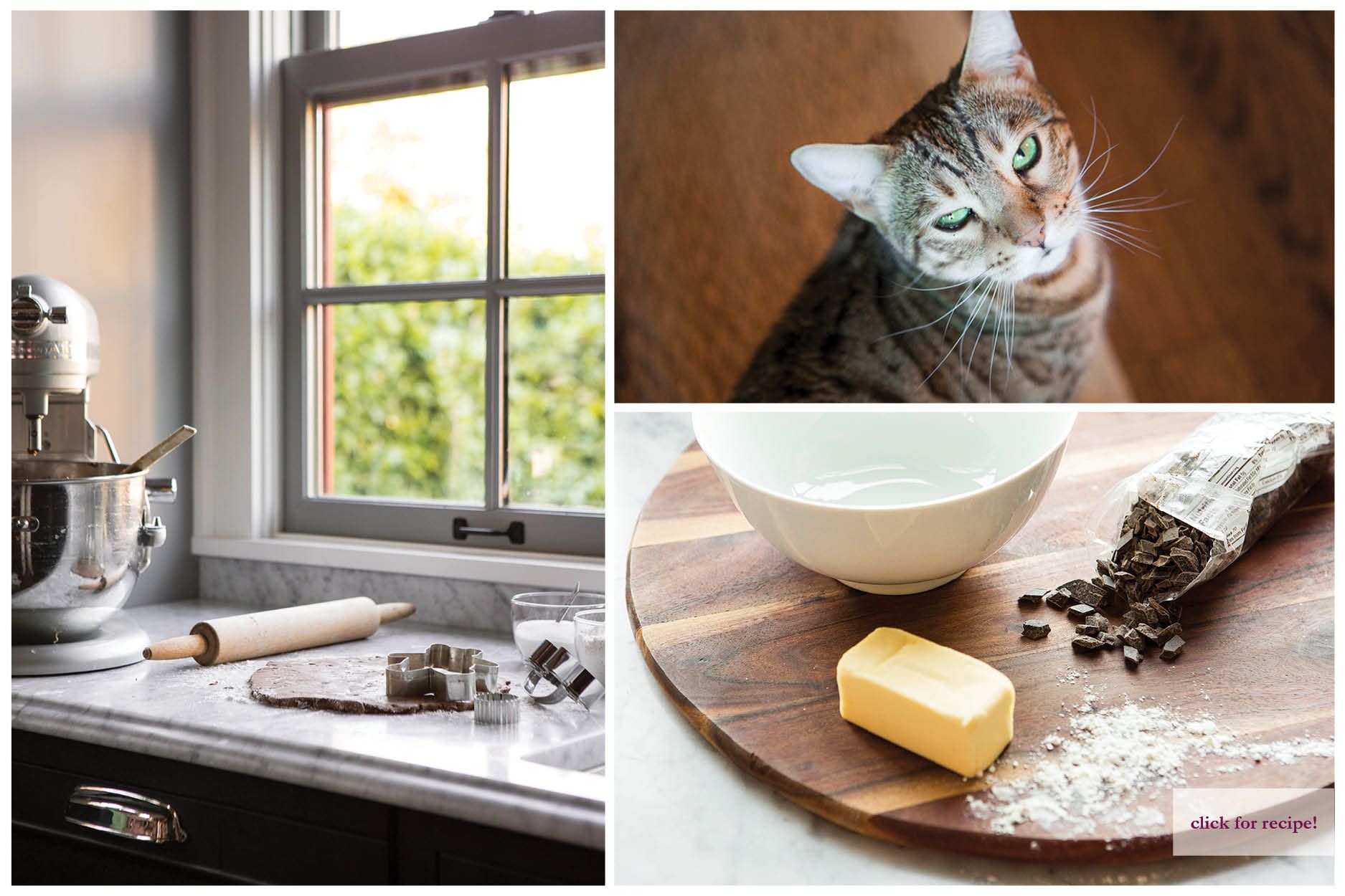 Cat on wooden table beside flour, butter, and mixing bowl in a sunlit kitchen