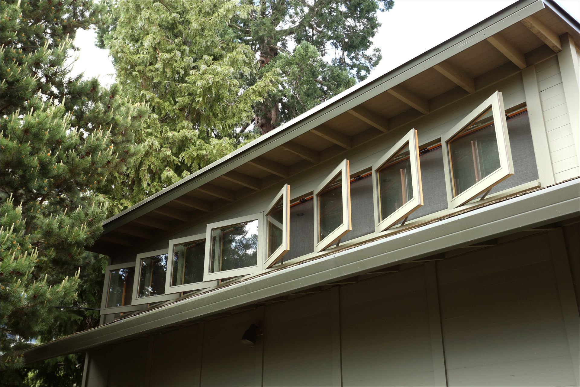 Open windows along the eaves of a house beneath tall trees