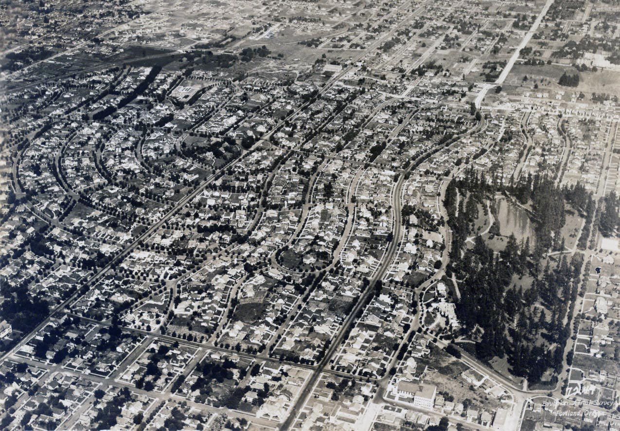 An early view of the Laurelhurst neighborhood showing the curing street pattern and forested park to the south. 