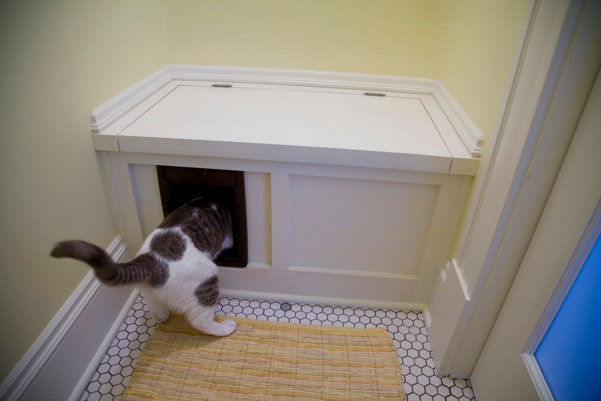 Cat entering a white litter box cabinet in a tiled room
