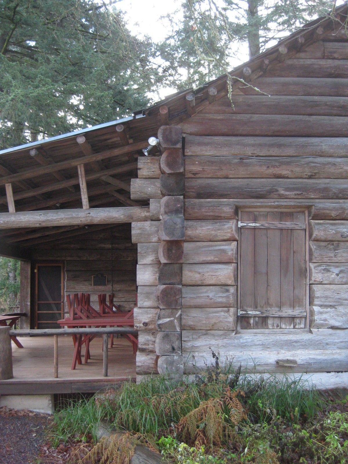 Rustic log cabin porch with red chairs and a closed window, surrounded by trees and greenery