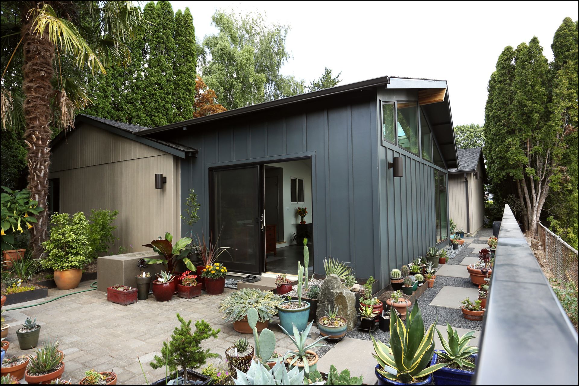 Modern house patio with many potted succulents and cacti along a narrow side walkway