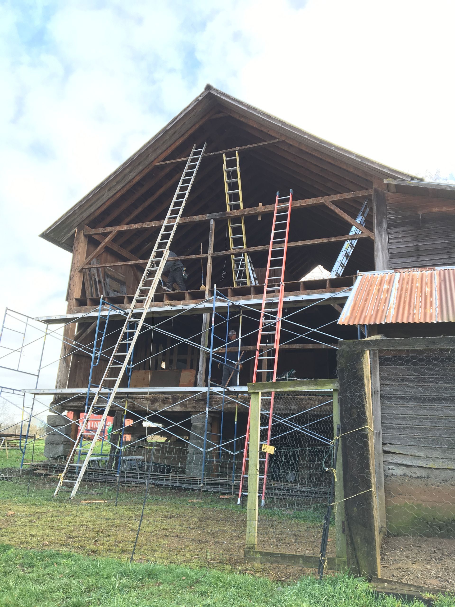 Ladder-filled barn under repair, with scaffolding and a rusted metal roof in a rural yard