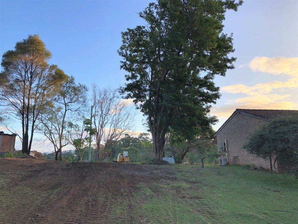 A Dirt Road With Trees and a Building in the Background — Jeff Pearce Tree Services in Old Bar, NSW