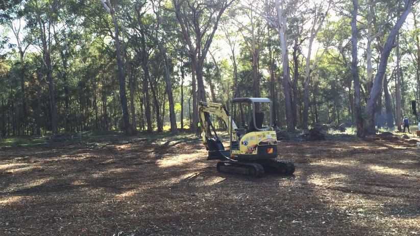 A Yellow Excavator is Parked in the Middle of a Forest — Jeff Pearce Tree Services in Lansdowne, NSW