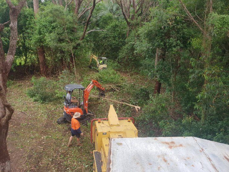 A Man is Standing Next to a Small Excavator in a Forest — Jeff Pearce Tree Services in Tuncurry, NSW
