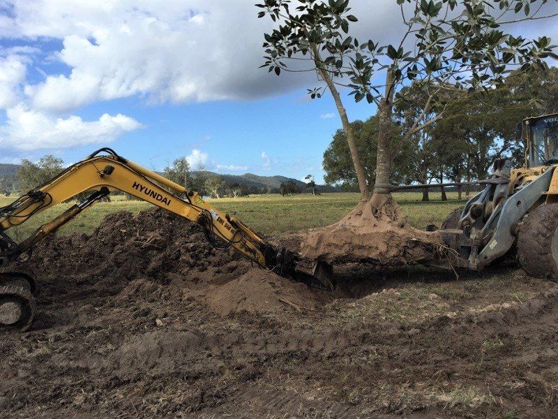 A Hyundai Excavator is Digging a Hole in the Dirt — Jeff Pearce Tree Services in Wingham, NSW