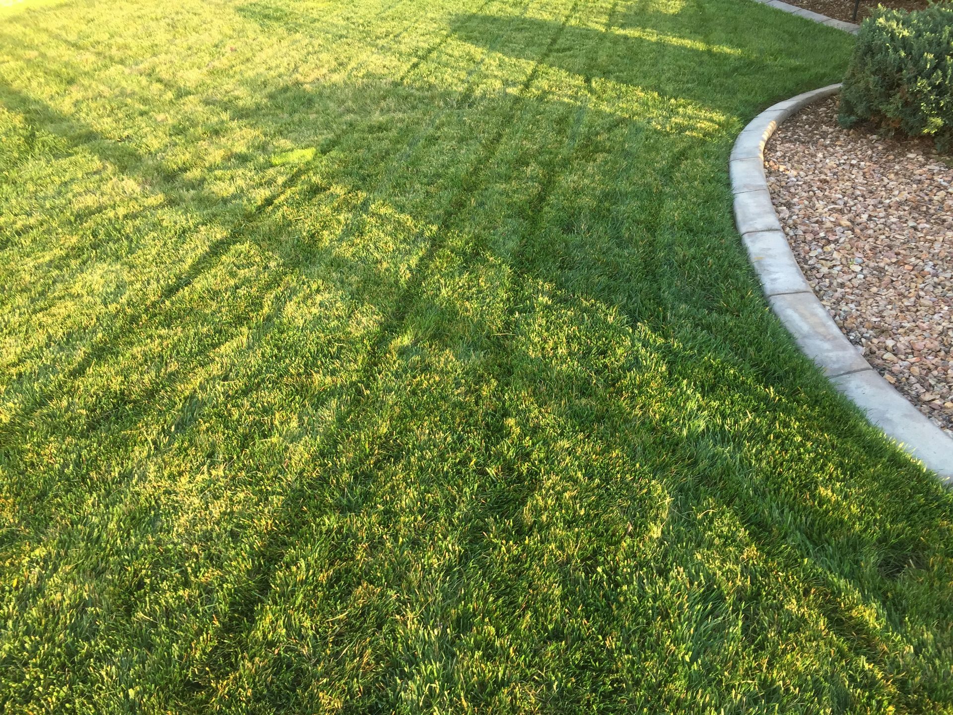 Lush green lawn with mower stripes, edged by a stone border and gravel, with sunlit shadows.