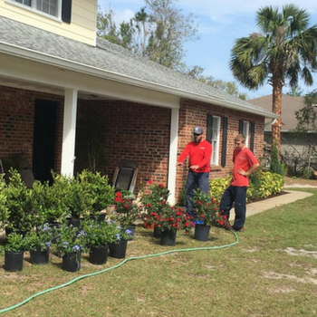 Two people in red shirts arranging potted flowers outside a brick house on a sunny day