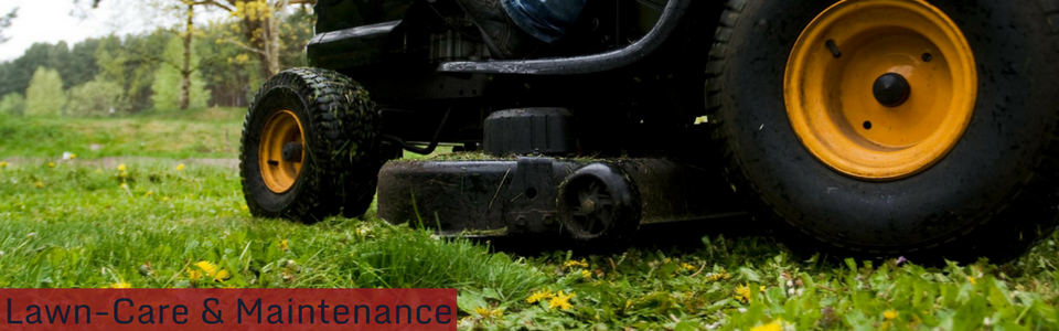 Black lawn mower with yellow wheels cutting grass in a green field under trees, with “Lawn Care & Maintenance” text.