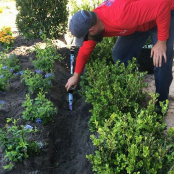 Person in a red shirt using a plant tag to label a shrub in a garden bed.