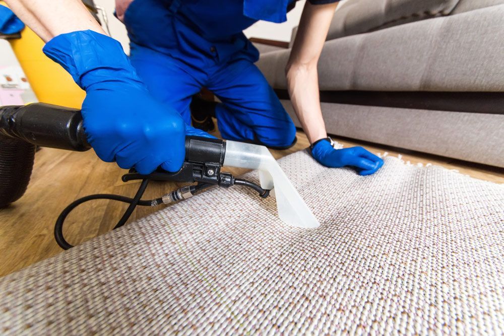 Affordable Carpet Cleaning — Cleaner in Mackay, QLD