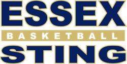 Essex Sting Basketball